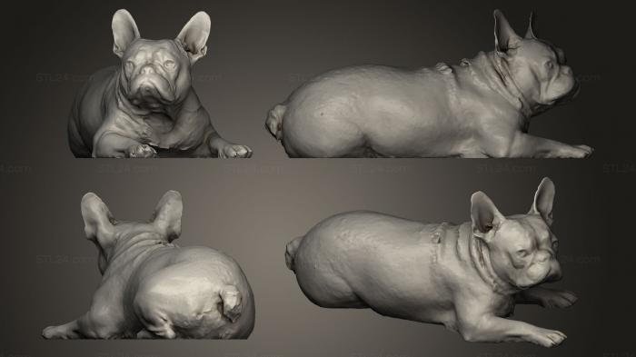 Animal figurines (DOG B29, STKJ_0242) 3D models for cnc